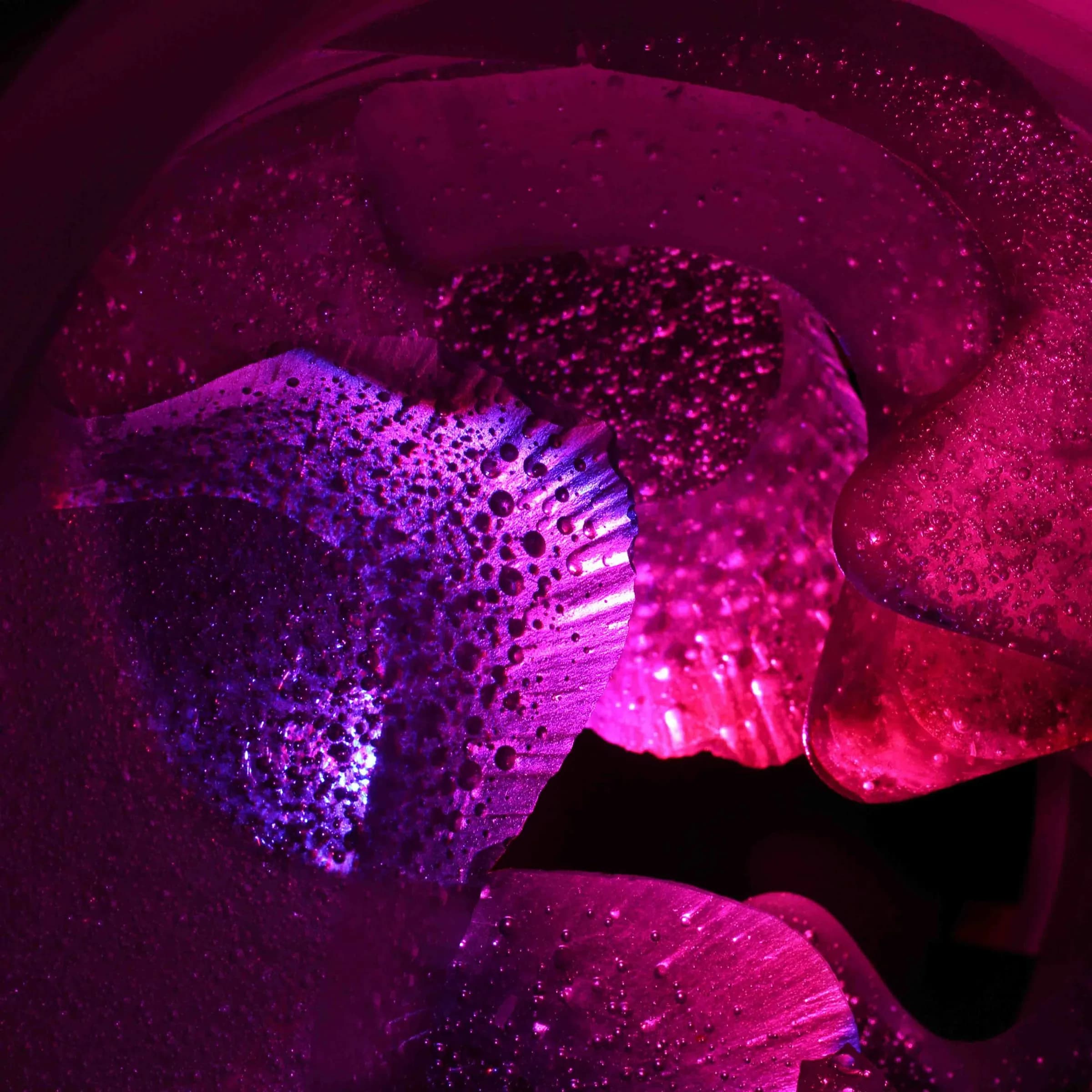 Mystery — lighting design by Jaroslav Bejvl (2)